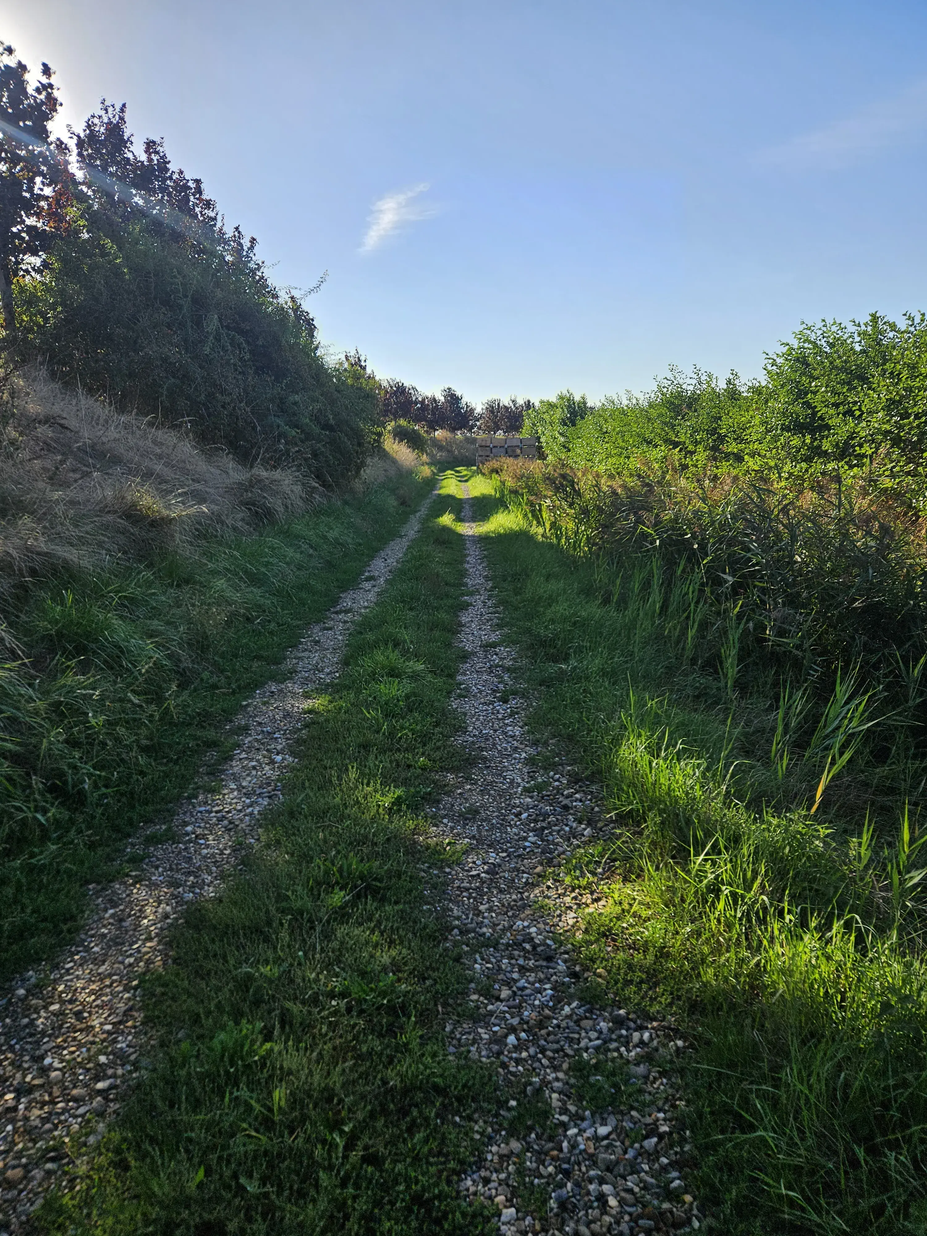 Gravelend onder aan de dijk langs een boomgaard in Rilland